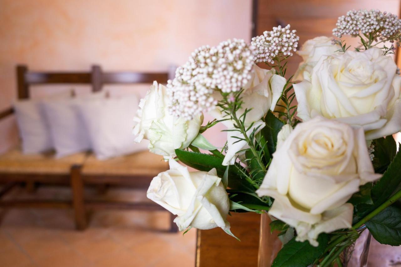 Locanda Le Tre Sorelle Casal Velino Ngoại thất bức ảnh